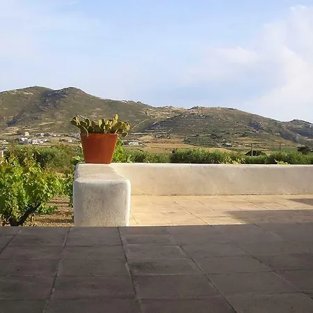 Vagia In The Vineyard Holiday home *